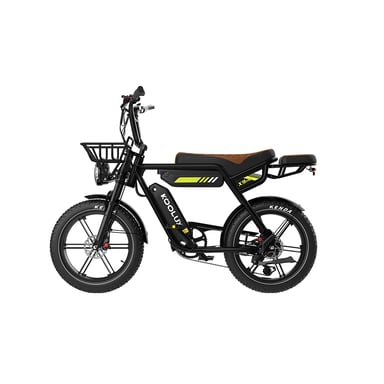 VéLo Électrique KOOLUX X9 PRO | Vitesse Max 25 km/h | Autonomie 100 km | Moteur 750W | Batterie 48V 15.6Ah*2 | Pneus 20 Pouces | Noir