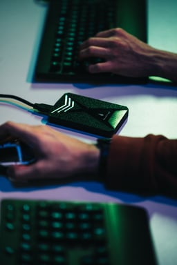 SureFire Gaming 512 GB Micro-USB B 3.2 Gen 1 (3.1 Gen 1) Nero, Grigio