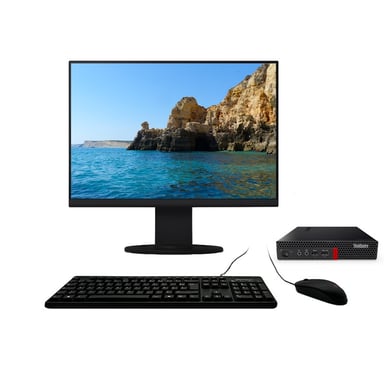 M910x Tiny i5-6500T 3.10GHz 8Go/240Go SSD Wifi W10 + Ecran 27