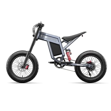 VéLo Électrique Shengmilo S900 | Vitesse Max 65 km/h | Autonomie 60 km | Moteur 1000W*2 | Batterie 60V 30Ah | Pneus 20 Pouces