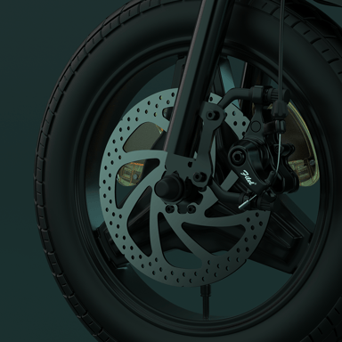 Bici elettrica pieghevole ESKUTE F100 250W Batteria 36V 9Ah 14 pollici