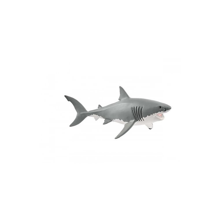 Requin : Le Plus Grand Prédateur Marin au Monde Neuf