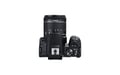 Canon EOS 250D + EF-S 18-55mm f/4-5.6 IS STM Juego de cámara SLR 24,1 MP CMOS 6000 x 4000 Pixeles Negro