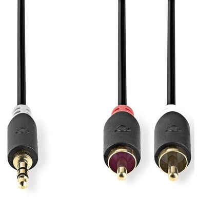 Nedis CABW22200AT50 cavo audio 5 m 3,5 mm 2 x RCA Antracite