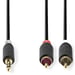 Nedis CABW22200AT50 cavo audio 5 m 3,5 mm 2 x RCA Antracite