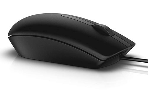 DELL MS116 souris Bureau Ambidextre USB Type-A Optique 1000 DPI - Neuf