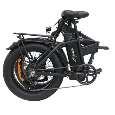 Windgoo F21 Pro Vélo Électrique - Moteur 250W Batterie 48V 12.5Ah 20x4.0 Pouces Pneus - Noir