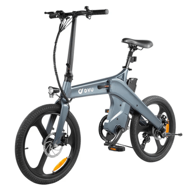 DYU T1 Bici elettrica da città Pneumatici da 20'' Motore da 250 W Batteria da 36 V 10 Ah