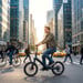 Bici elettrica pieghevole MAXTRON Smart30 con batteria rimovibile da 36 V 9,6 Ah e sensore di coppia