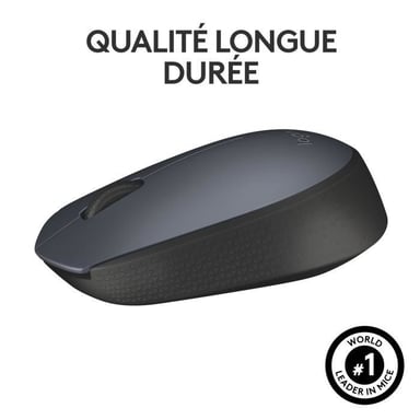 Logitech M170 Grey-K souris Ambidextre RF sans fil Optique 1000 DPI