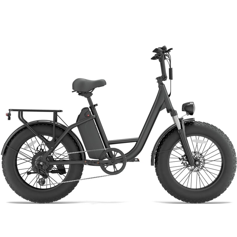 Vélo Électrique URLIFE E20 PRO 750W – Batterie Amovible 48V15.6Ah - vue 3