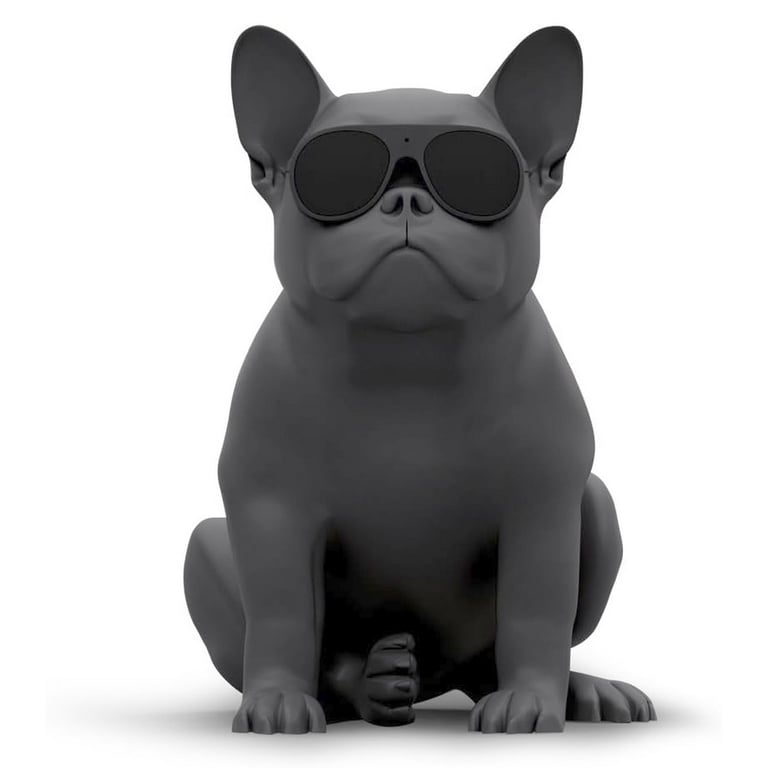 AeroBull XS1 Enceinte sans fil Bluetooth Neuf - vue 2