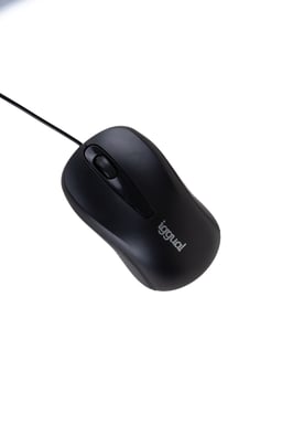 iggual COM-BASIC2-800DPI ratón Oficina Ambidextro USB tipo A