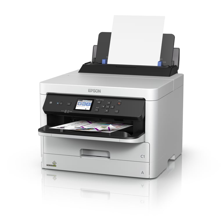 Epson C11CG79401 - vue 4