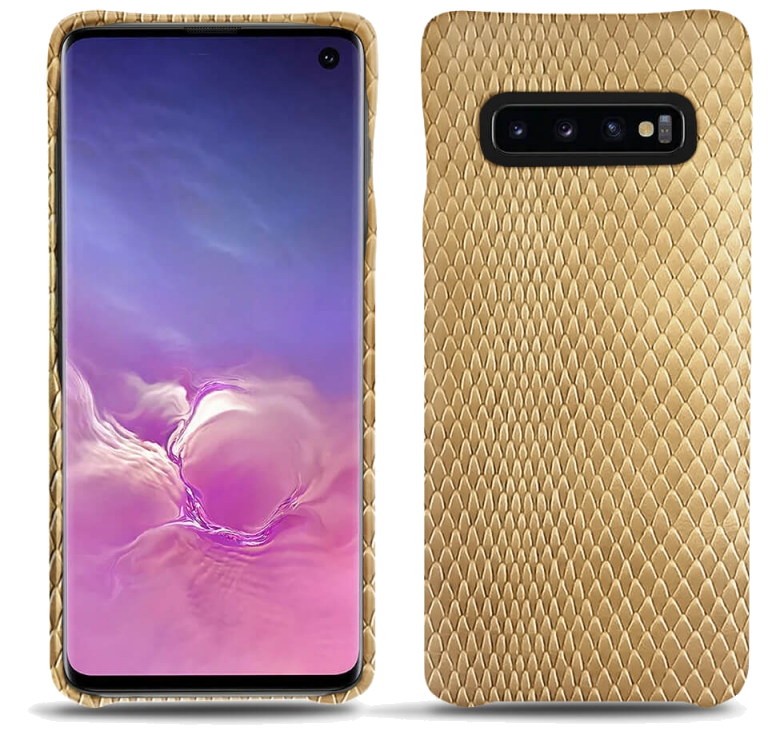 Coque cuir Samsung Galaxy S10 - Coque arrièreBeige