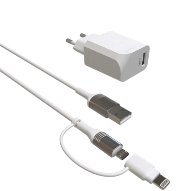GREEN E - Kit de Charge Ecoconçu (Chargeur 2 en 1 USB-C et Lightning vers USB + Adaptateur Prise)