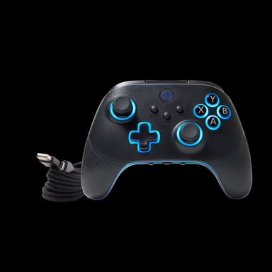 PowerA PCGP0382-01 accessoire de jeux vidéo Noir RF/USB Manette de jeu Analogique/Numérique PC