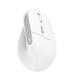 Trust Bayo II souris Bureau Droitier RF sans fil Optique 2400 DPI