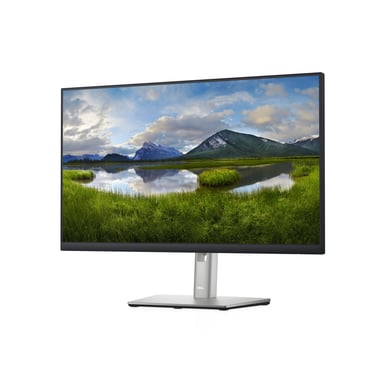 DELL P Series Écran 24 – P2422H