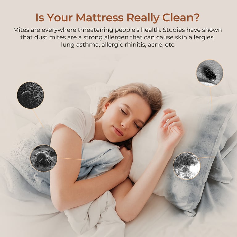 Aspirateur Anti Acariens pour Matelas JIGOO T600 – Prise EU Design Double Bassine Élimination 99.99% des Acariens Système d'Aromathérapie Bon état - vue 3