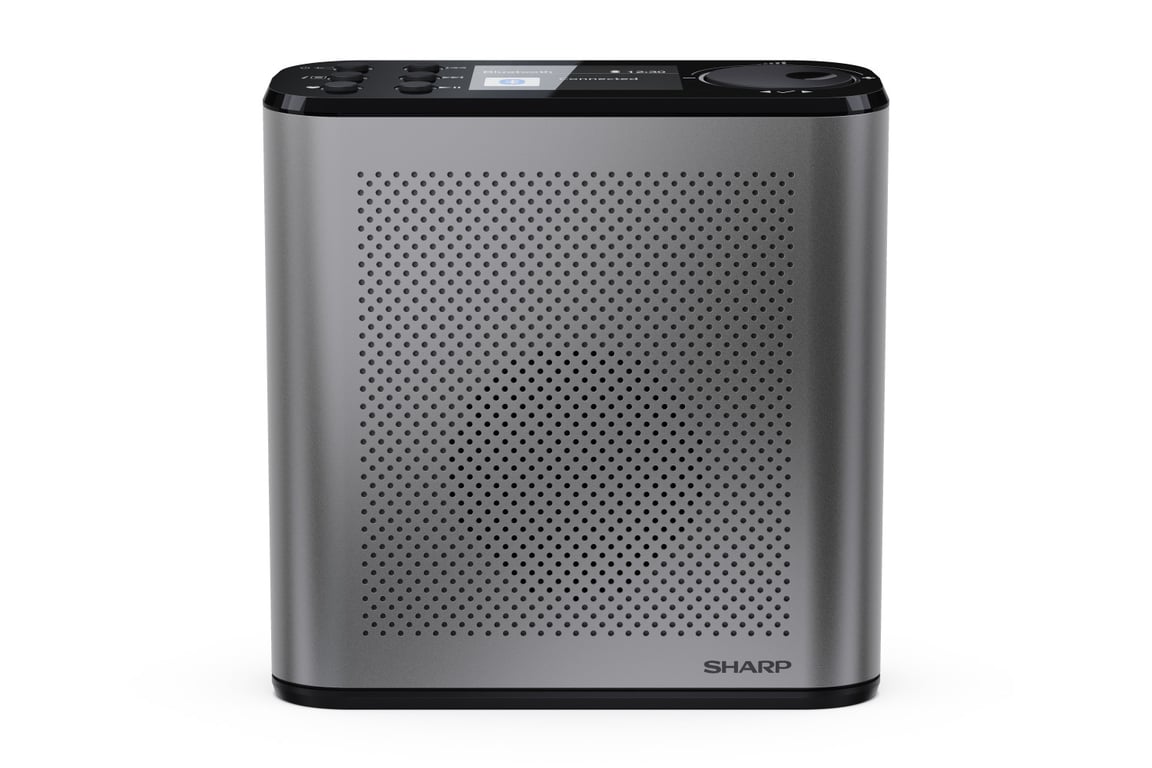 Radio Numérique Portable Sharp DR-P530(GY) – DAB+/FM, Bluetooth 5.3, Écran Couleur - vue 3