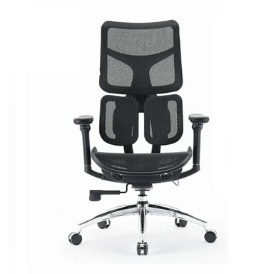 Sedia ergonomica SIHOO Doro S100 - Doppio supporto lombare dinamico, braccioli 4D, schienale regolabile 5x - Nero