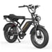 Bicicleta Eléctrica HEADEER BK20 - Motor 750W Batería 48V20AH 20'' Freno de Disco - Negro