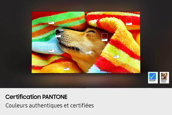 TV OLED 2025 211 cm (83'') 4K HDR TQ83S85F AI Gen 2, Wi-Fi, Bluetooth - Negro