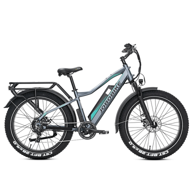 Bici Elettrica per Adulti JOBOBIKE Robin 26'' Motore Bafang 250W 48V13AH