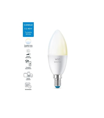 Bombilla WiZ Connected Flame Blanco variable E14 40W