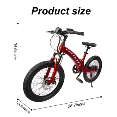Vélo électrique JKING C8 - Batterie 29,4 V 9 Ah - Moteur 250 W - 20 pouces