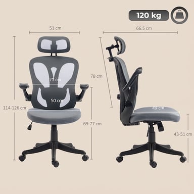 Roline Chaise de Bureau Ergonomique Grise Accoudoirs 3D Maille