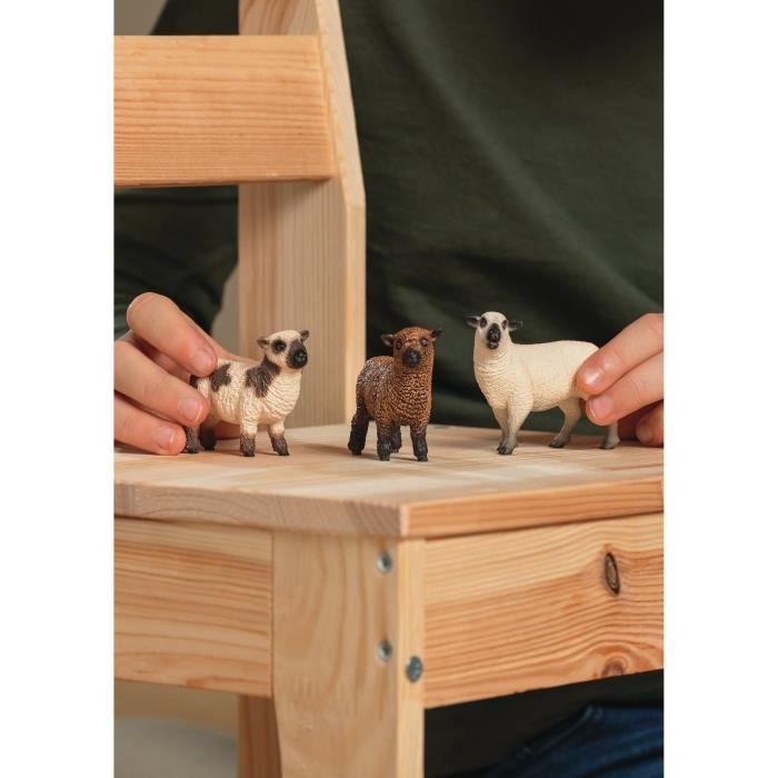 Trio De Poules Schleich La Boite - vue 6