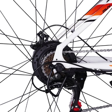 PVY M29 Vélo Électrique - Moteur 250W Batterie 48V17.5AH Pneus 29'' Freins à Disque Mécaniques - Gris