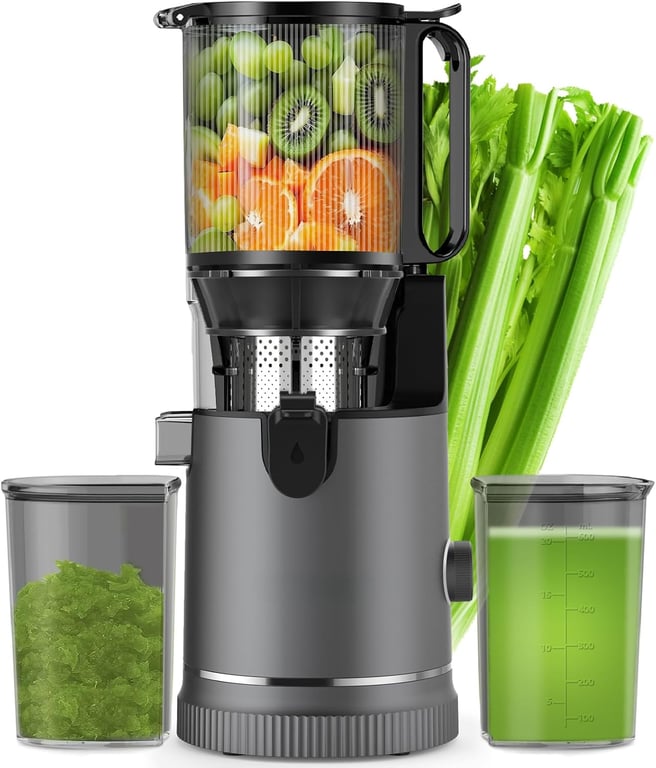 Extracteur de Jus Lent Grande Goulotte Neuf