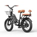 Bicicletta elettrica urbana KICKWEY LD20 con batteria rimovibile da 48V 20Ah, cestino anteriore e sellino posteriore