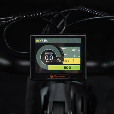 Vélo cargo électrique CYRUSHER Kommoda 3.0 20'' - Moteur 250 W - Batterie 48 V 20 Ah