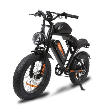 VéLo Électrique FXH-002 Pro | Moteur 1000W|  Batteries Doubles 48V 20.3Ah+20.3Ah | Pneus 20 Pouces | Vitesse Max 25 km/h | Autonomie 80 km