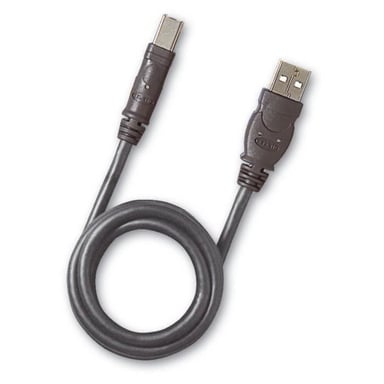Cable USB BELKIN - 1,8 m