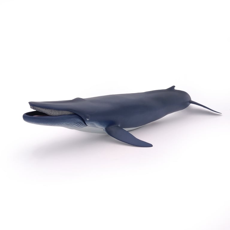 Papo Baleine Neuf - vue 3