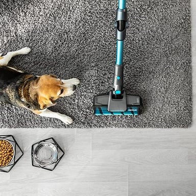 Cecotec 05772 aspiradora 0,6 L Aspiradora de tambor Secar 680 W Sin bolsa