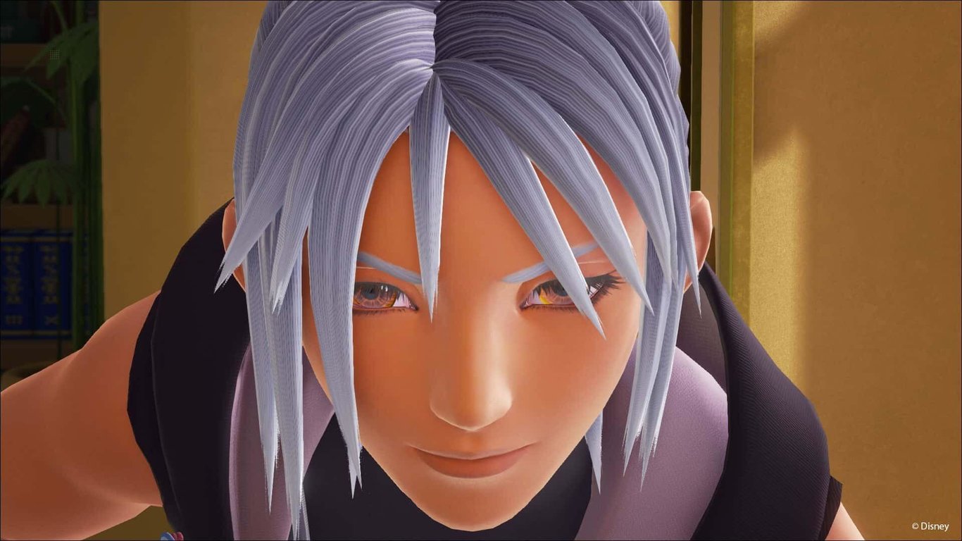 Kingdom hearts 3.0 - vue 5