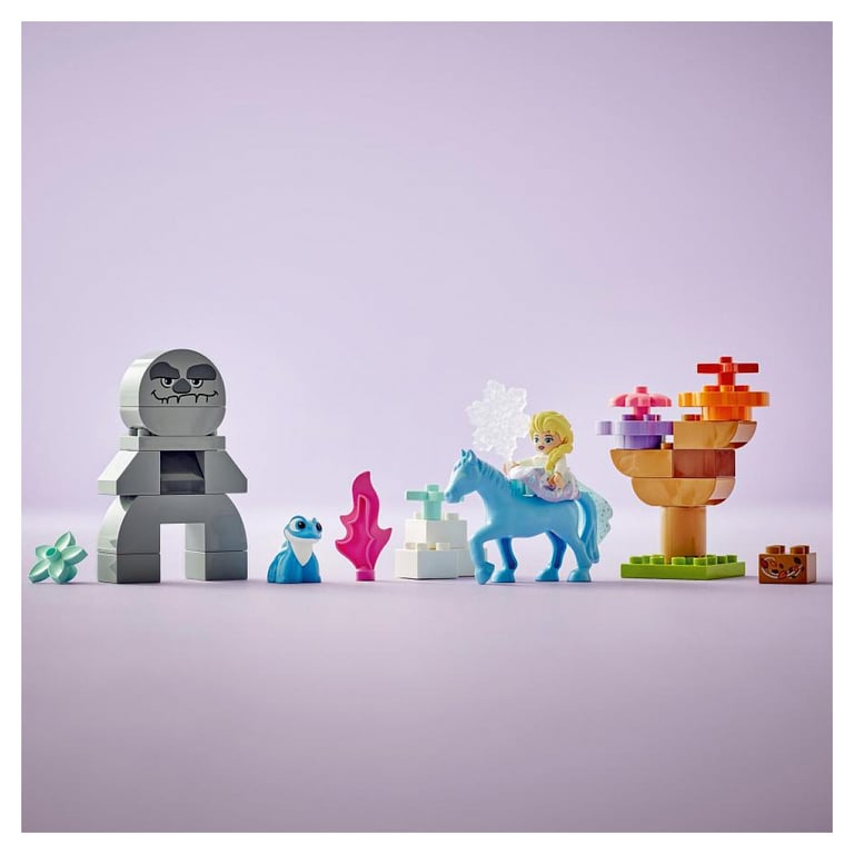 Lego Duplo Disney Elsa Et Bruni Dans La Forêt Enchantée 10418 - vue 6