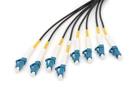 Digitus Cables Breakout de fibra óptica universales preconfeccionados, multimodo OS2, 8 fibras, LC/UPC - LC/UPC