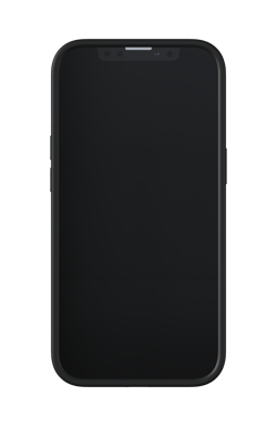 Richmond & Finch Black Tiger - iPhone 13