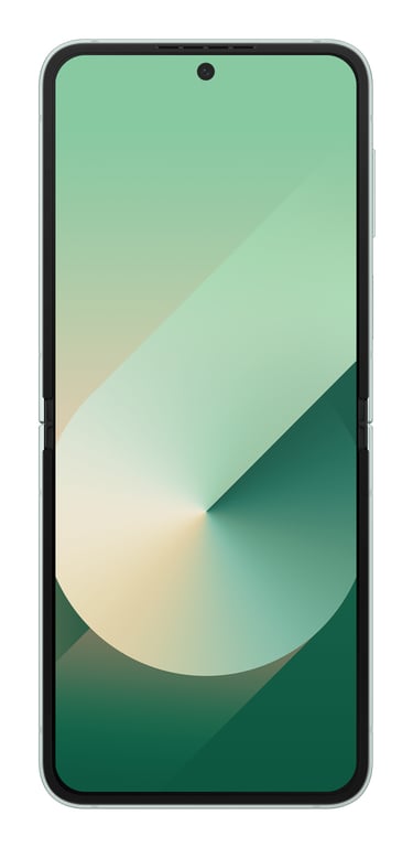 Galaxy Z Flip6 (5G), 256 Go, Vert d'eau - Bon état