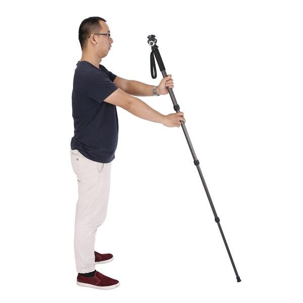 Monopode Photo Leofoto MP 285 C – Fibre de Carbone, Charge Max 15 kg - vue 10