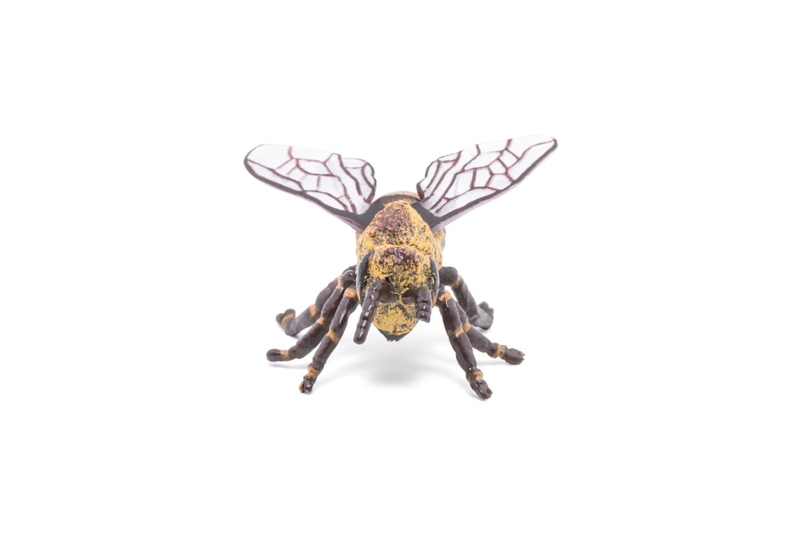 Papo Abeille Neuf - vue 3