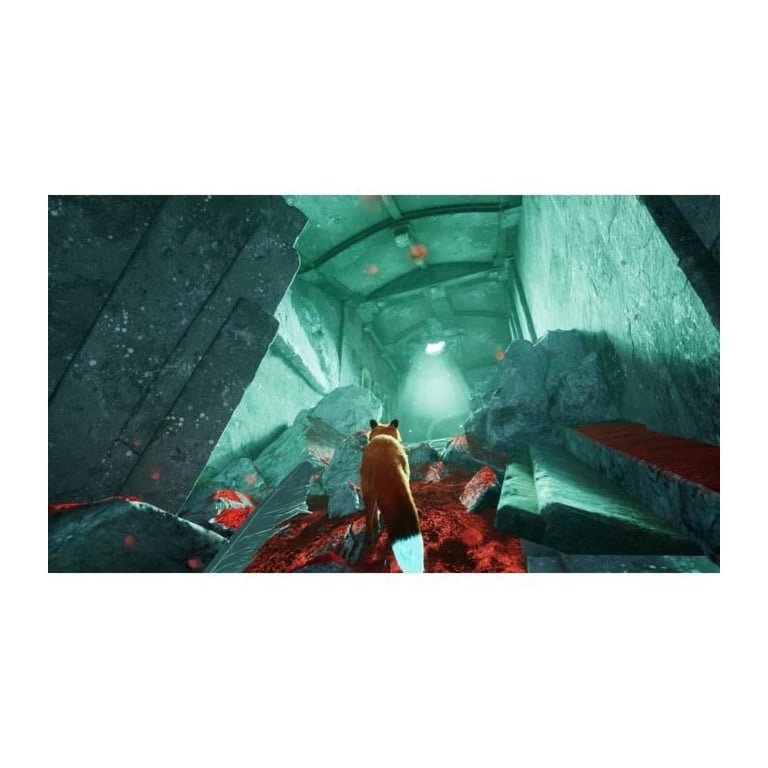 Spirit of the North 2 PS5 - vue 2