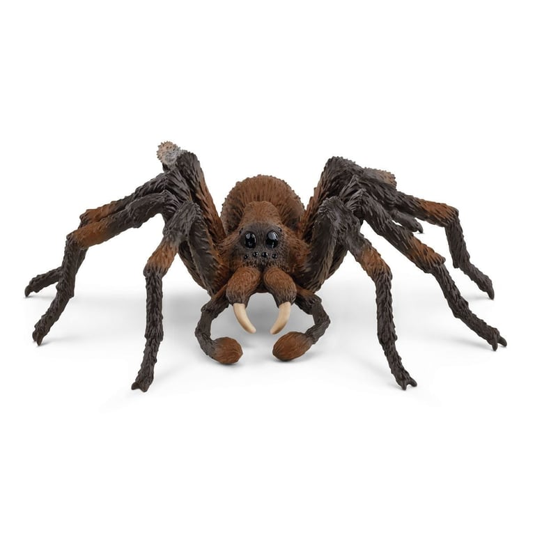 Figurine Aragog Harry Potter pour enfants dès Schleich 13987 Harry Potter Univers WIZARDING WORLD - vue 4